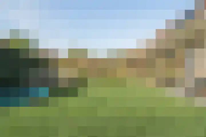 Waterdrieblad 47 Oudkarspel thumbnail 47