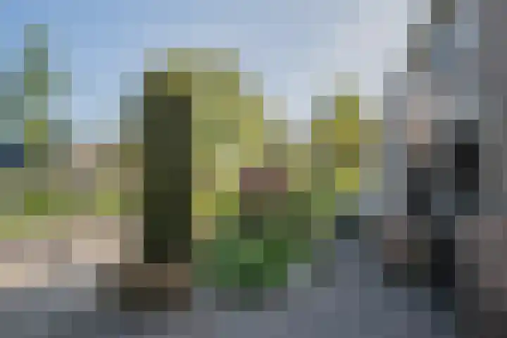 Waterdrieblad 47 Oudkarspel thumbnail 49