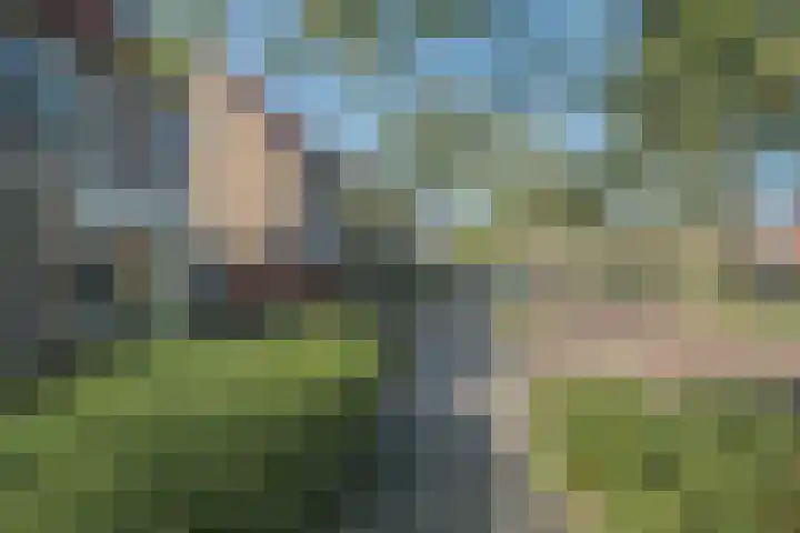 Waterdrieblad 47 Oudkarspel thumbnail 51