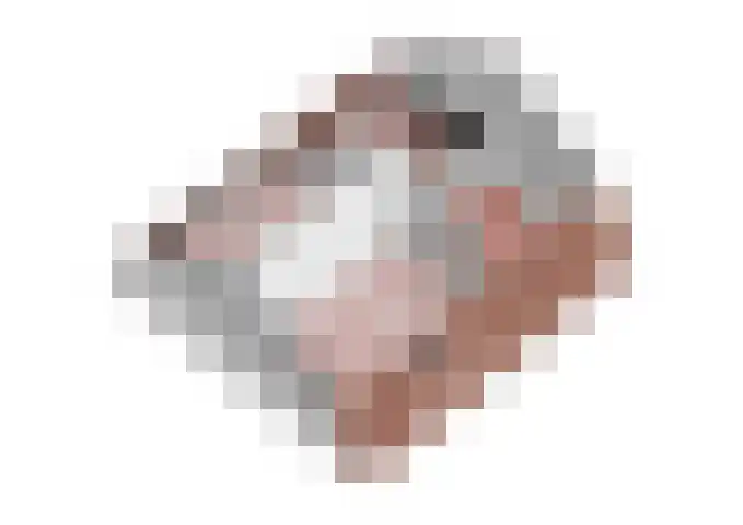 Waterdrieblad 47 Oudkarspel thumbnail 56
