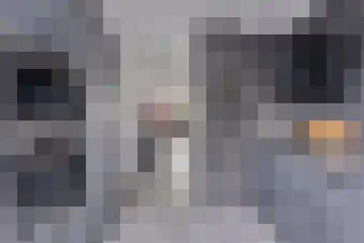 Waterdrieblad 5 Oudkarspel thumbnail 11
