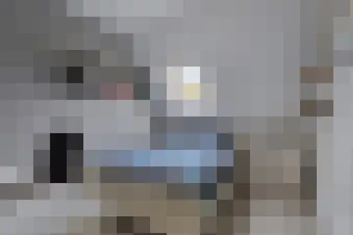Waterdrieblad 5 Oudkarspel thumbnail 14