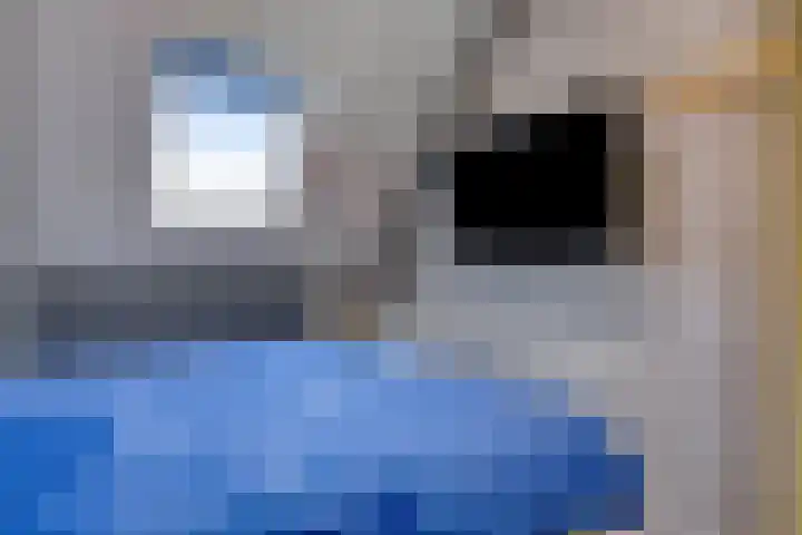 Waterdrieblad 5 Oudkarspel thumbnail 16