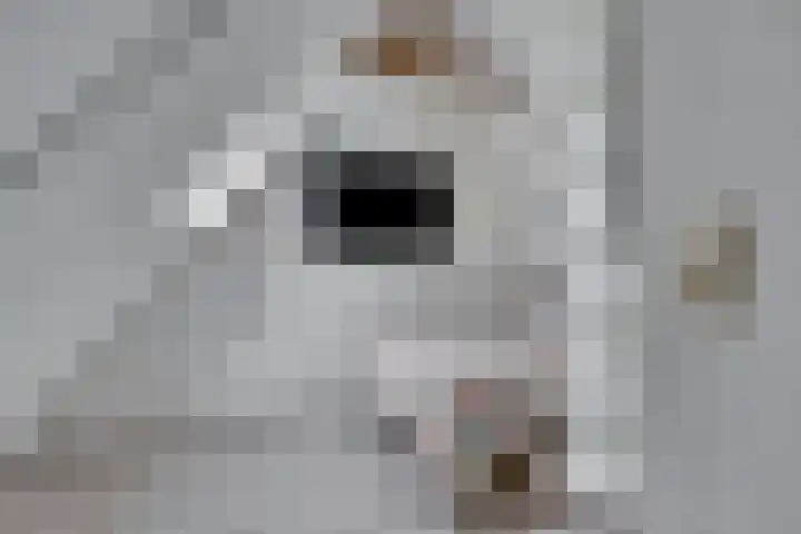 Waterdrieblad 5 Oudkarspel thumbnail 17