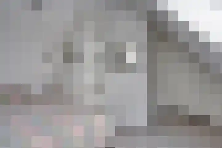 Waterdrieblad 5 Oudkarspel thumbnail 19