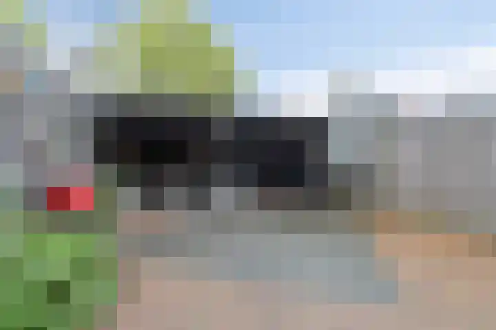 Waterdrieblad 5 Oudkarspel thumbnail 20