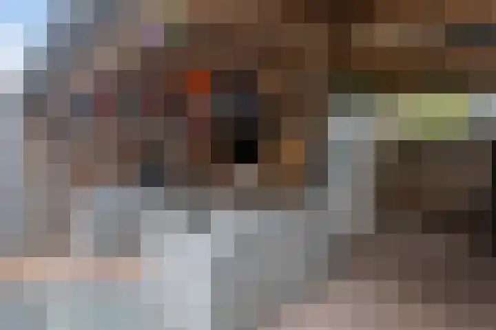 Waterdrieblad 5 Oudkarspel thumbnail 21