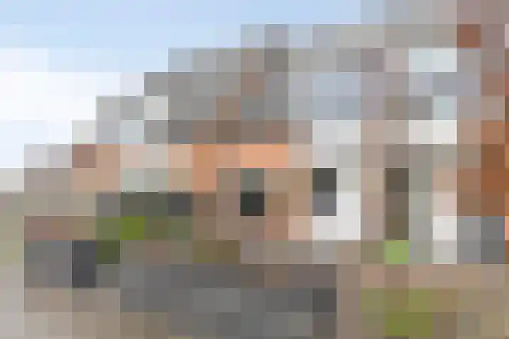 Waterdrieblad 5 Oudkarspel thumbnail 22