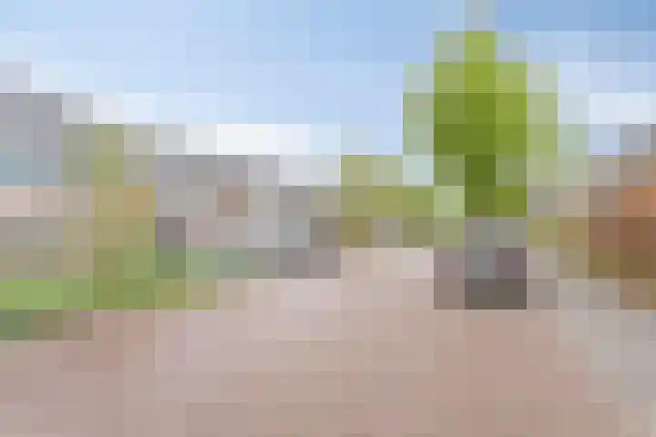 Waterdrieblad 5 Oudkarspel thumbnail 23