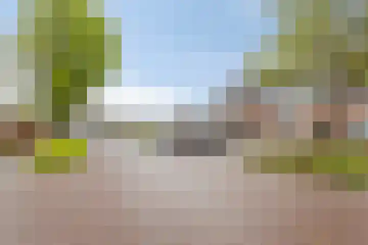 Waterdrieblad 5 Oudkarspel thumbnail 24