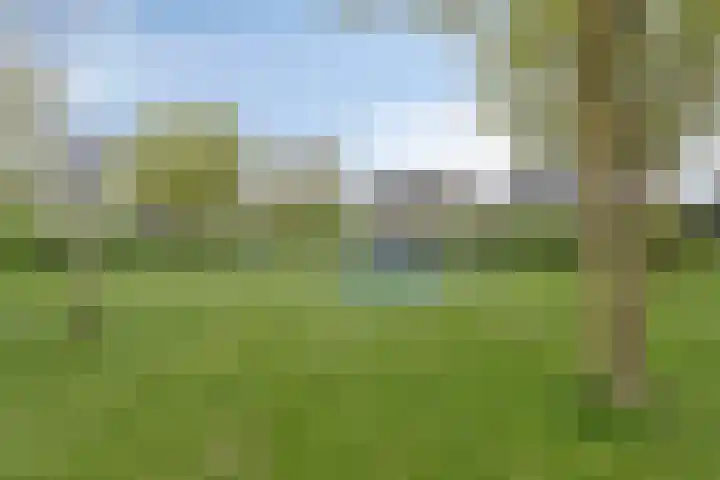 Waterdrieblad 5 Oudkarspel thumbnail 25