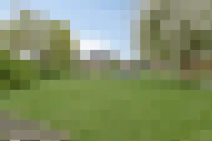 Waterdrieblad 5 Oudkarspel thumbnail 26