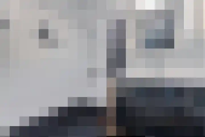 Waterdrieblad 5 Oudkarspel thumbnail 5