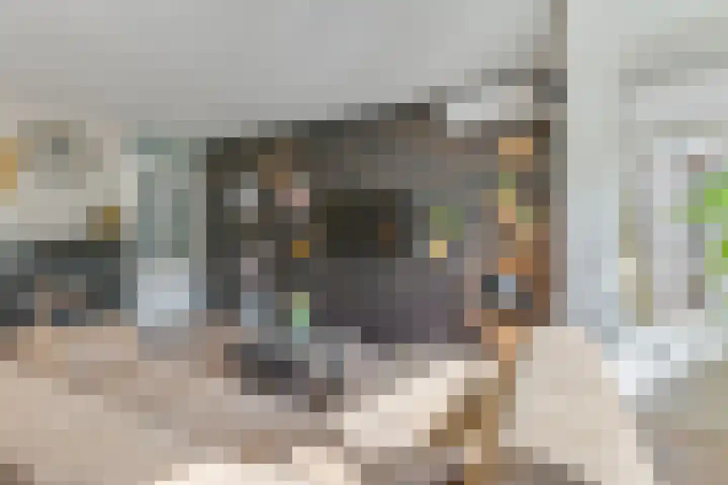 Waterdrieblad 7 Oudkarspel thumbnail 10