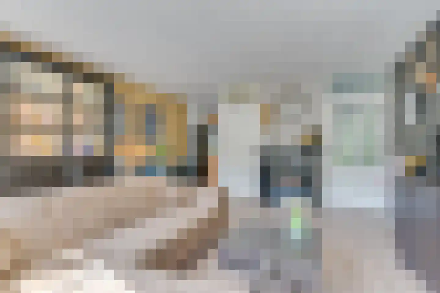 Waterdrieblad 7 Oudkarspel thumbnail 11