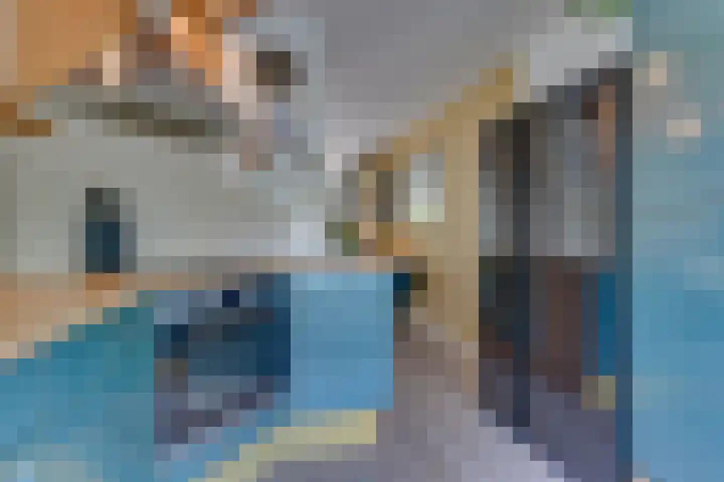 Waterdrieblad 7 Oudkarspel thumbnail 18