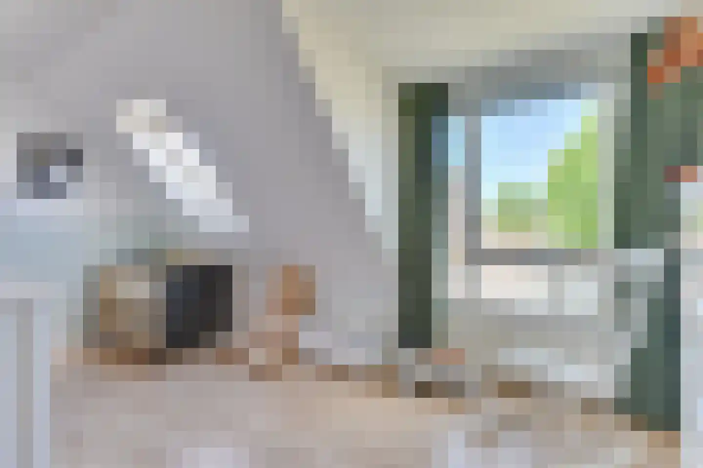 Waterdrieblad 7 Oudkarspel thumbnail 22