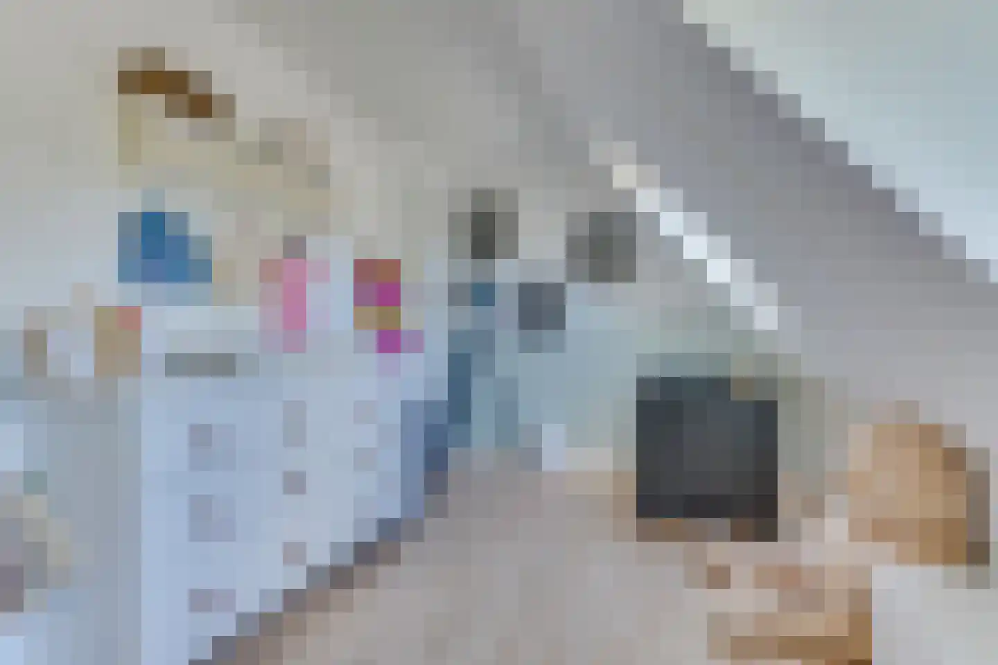 Waterdrieblad 7 Oudkarspel thumbnail 24