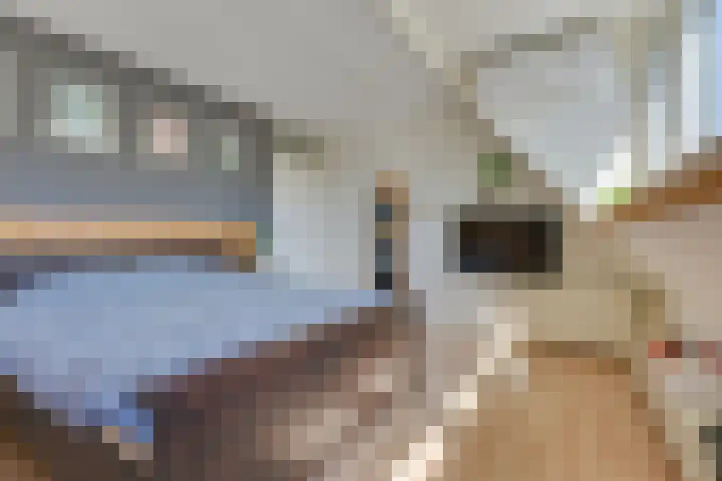Waterdrieblad 7 Oudkarspel thumbnail 30