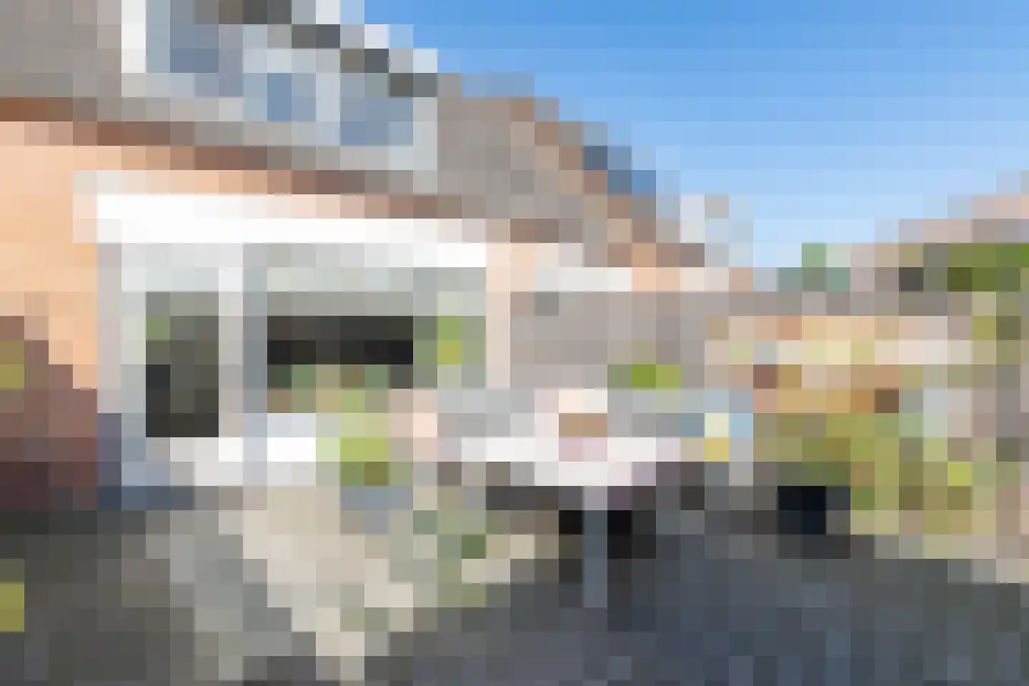 Waterdrieblad 7 Oudkarspel thumbnail 37