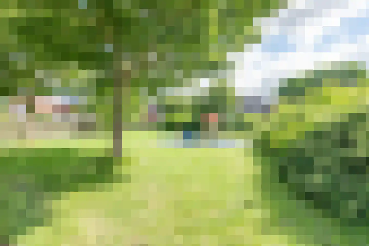 Waterdrieblad 7 Oudkarspel thumbnail 41