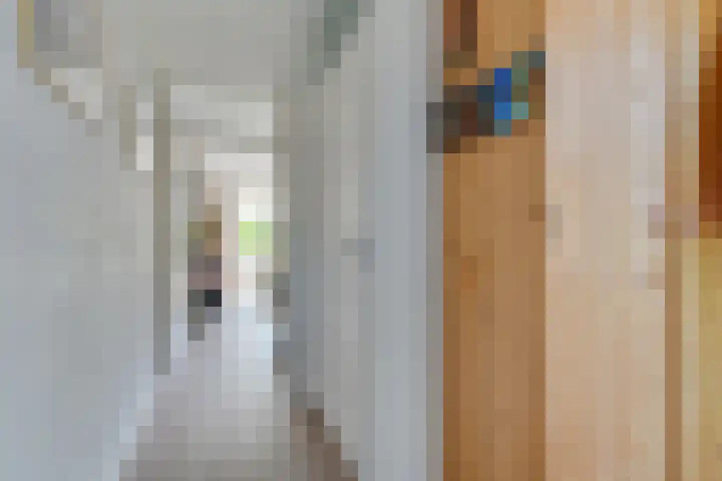 Waterdrieblad 7 Oudkarspel thumbnail 7