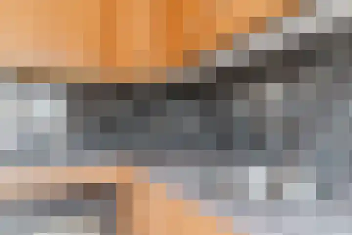 Waterdrieblad 9 Oudkarspel thumbnail 16