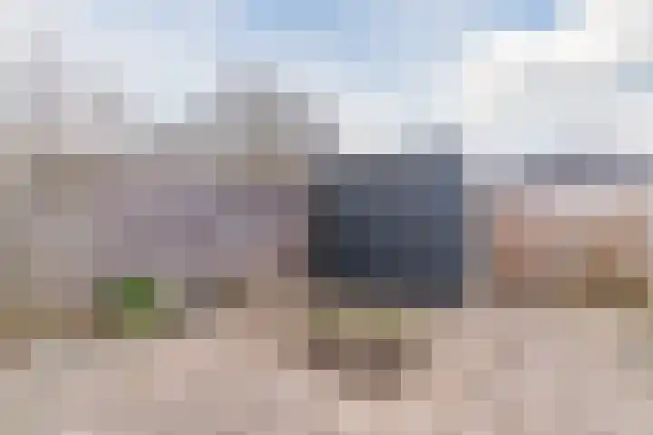 Waterdrieblad 9 Oudkarspel thumbnail 30