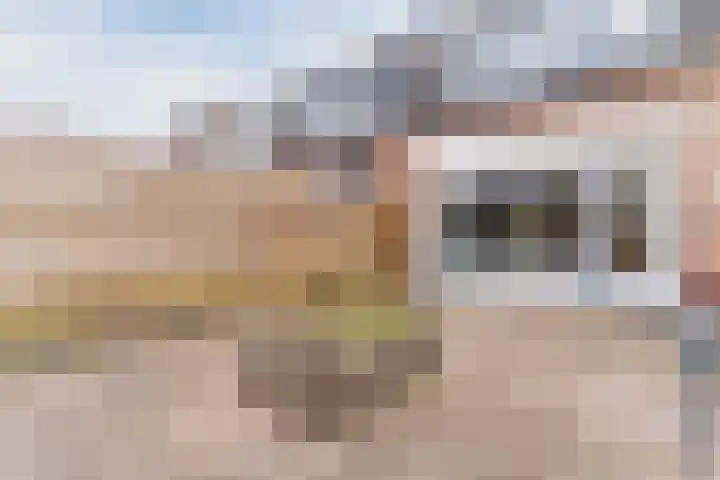 Waterdrieblad 9 Oudkarspel thumbnail 32