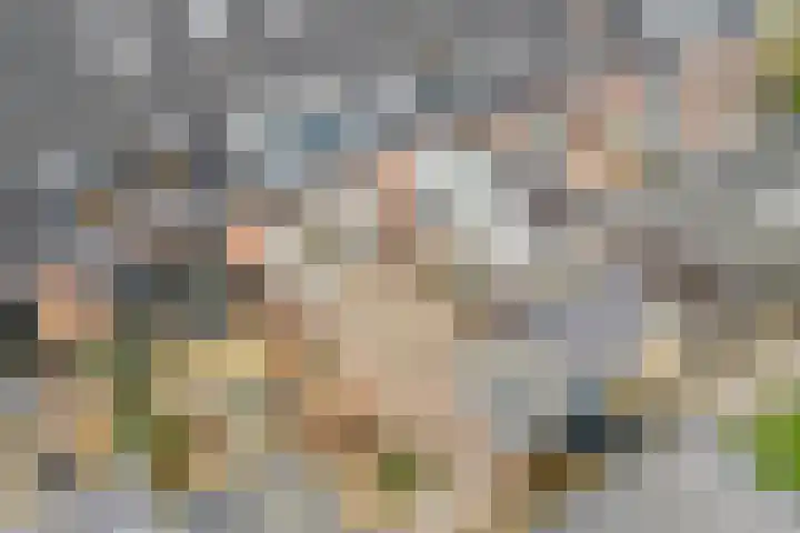 Waterdrieblad 9 Oudkarspel thumbnail 33