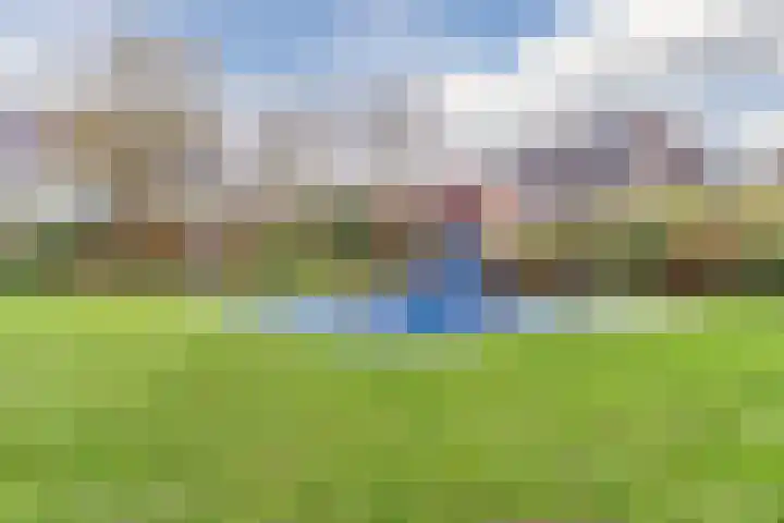Waterdrieblad 9 Oudkarspel thumbnail 34
