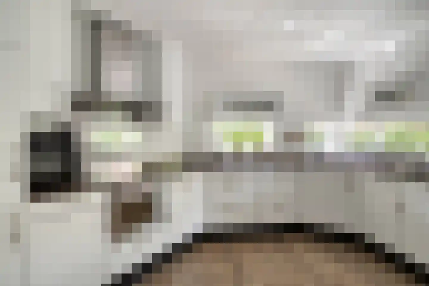 Waterdriebladlaan 13 Enschede thumbnail 13