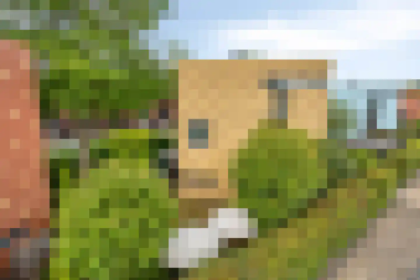 Waterdriebladlaan 13 Enschede thumbnail 5