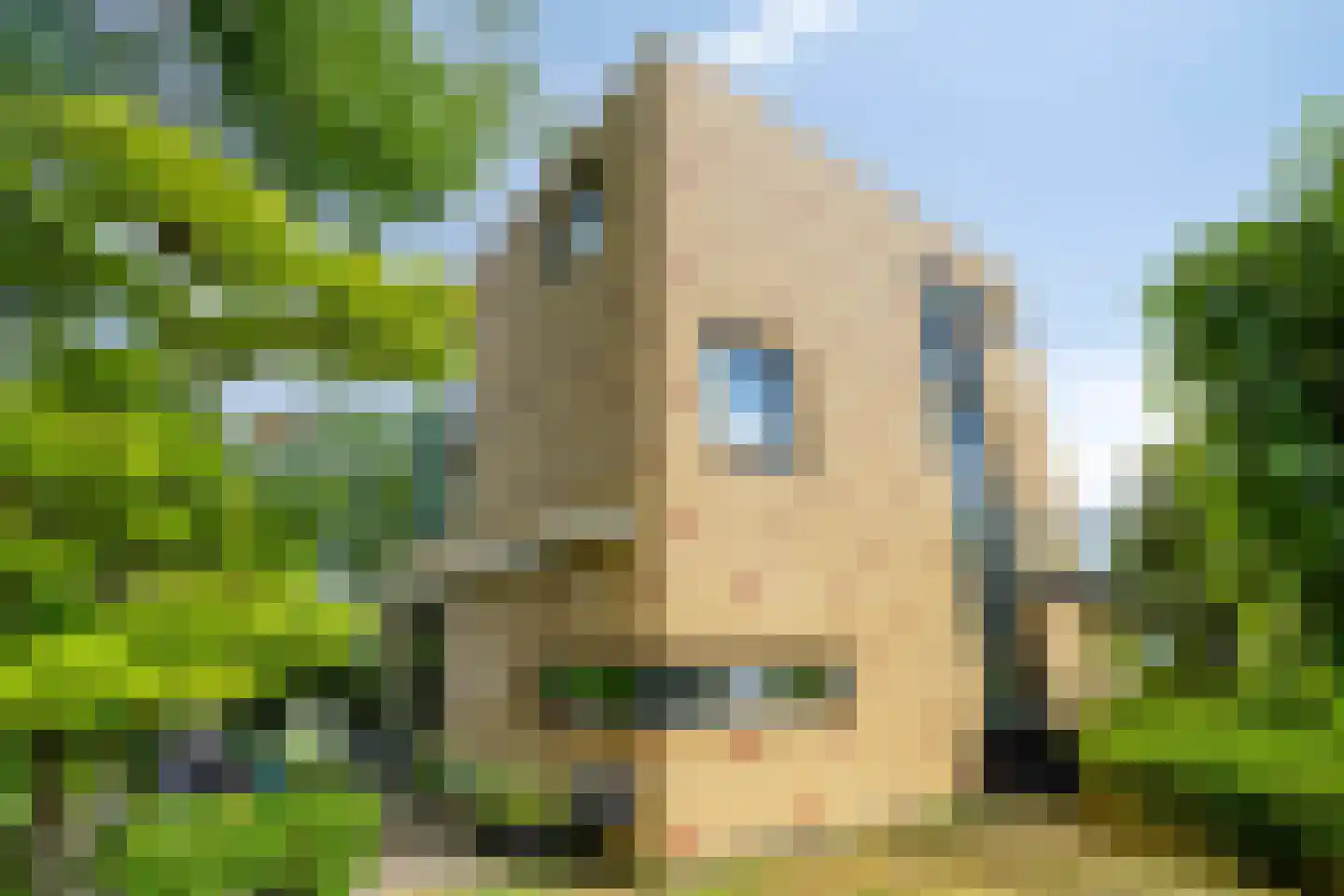 Waterdriebladlaan 13 Enschede thumbnail 6