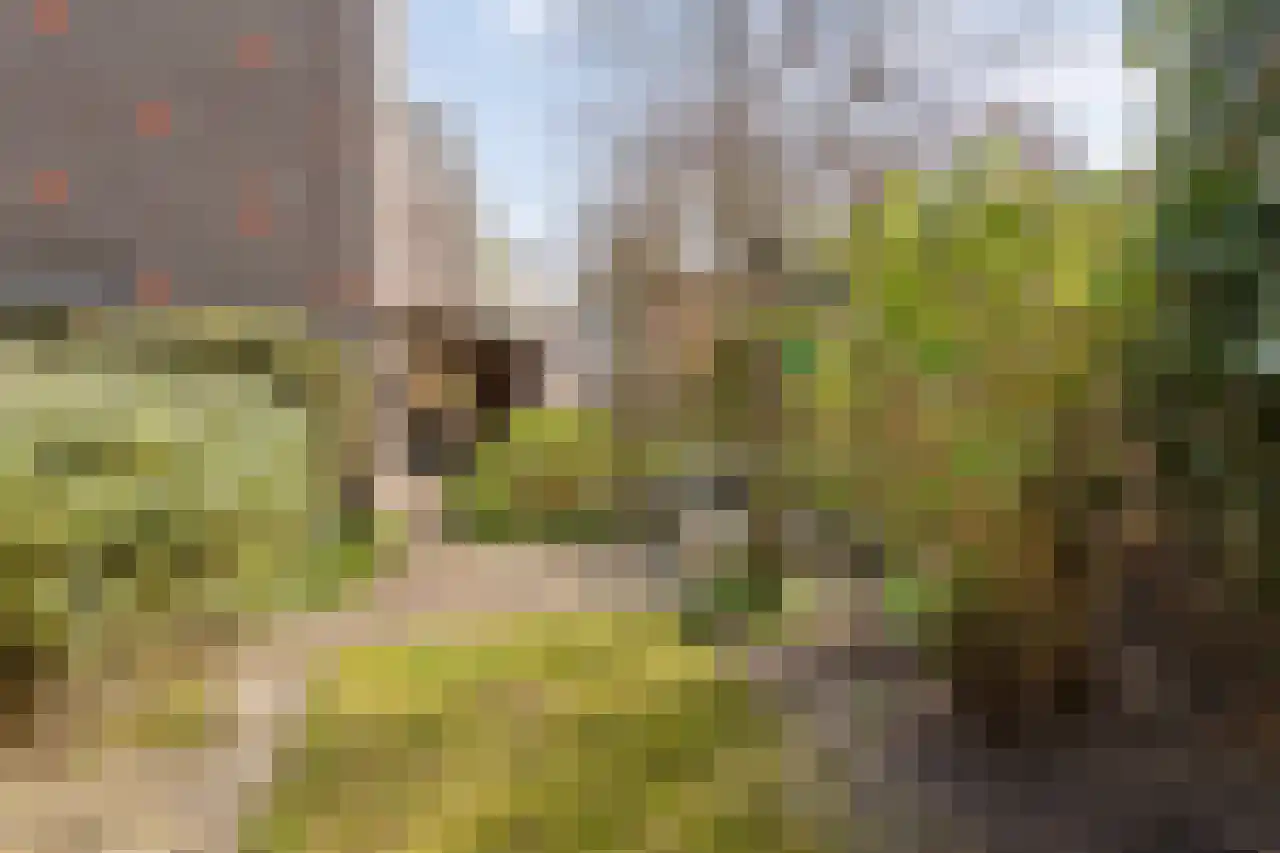 Waterdriebladlaan 49 Enschede thumbnail 37