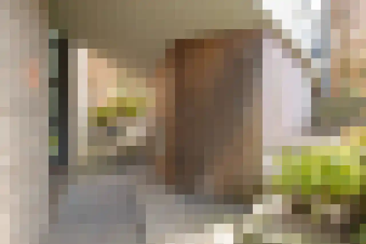 Waterdriebladlaan 49 Enschede thumbnail 39