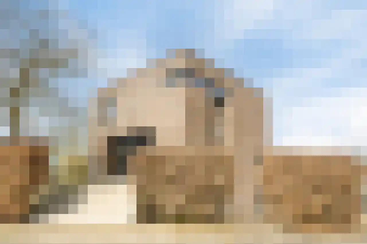 Waterdriebladlaan 49 Enschede thumbnail 4