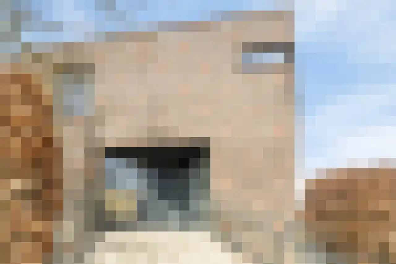Waterdriebladlaan 49 Enschede thumbnail 5