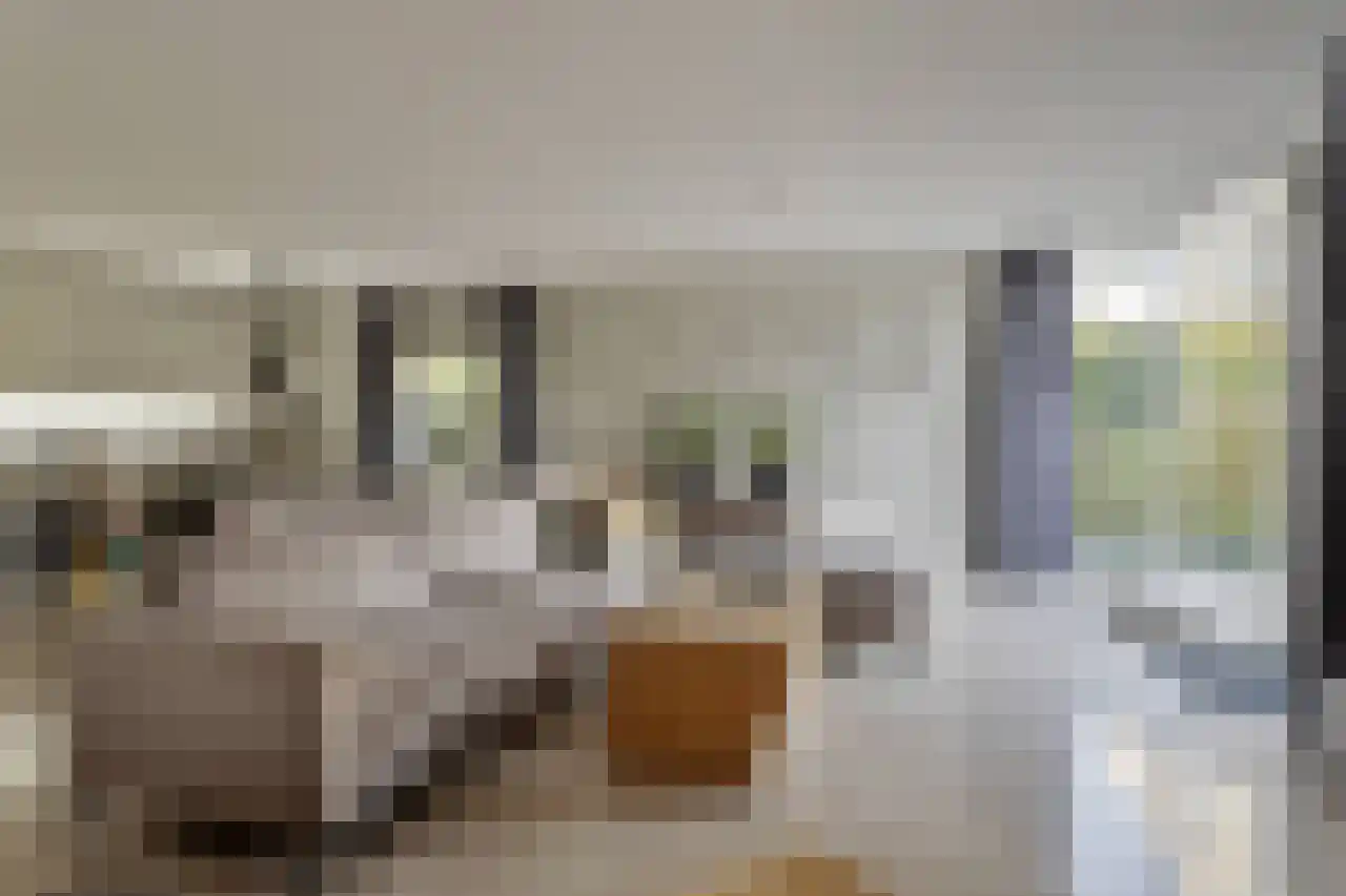 Waterdriebladlaan 49 Enschede thumbnail 7
