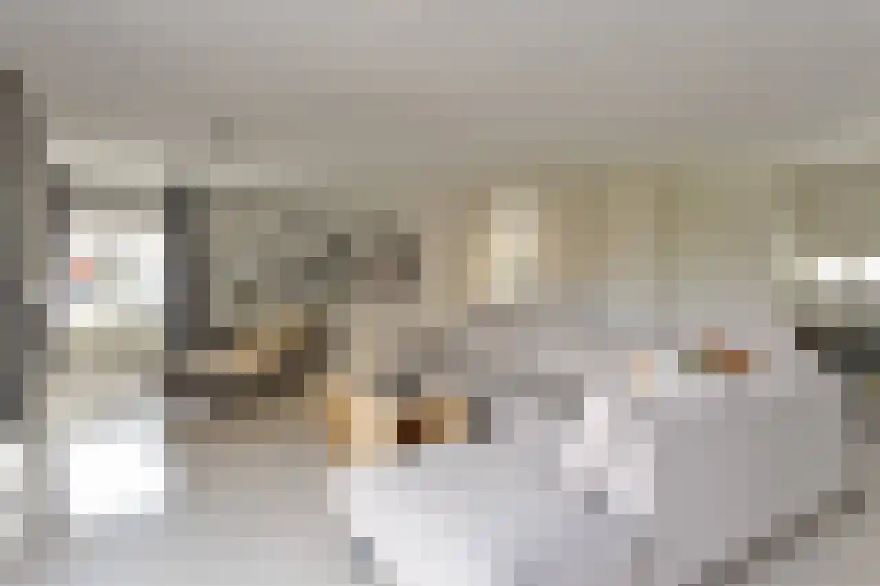 Waterdriebladlaan 49 Enschede thumbnail 8