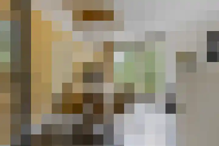 Waterdriebladlaan 77 Enschede thumbnail 11