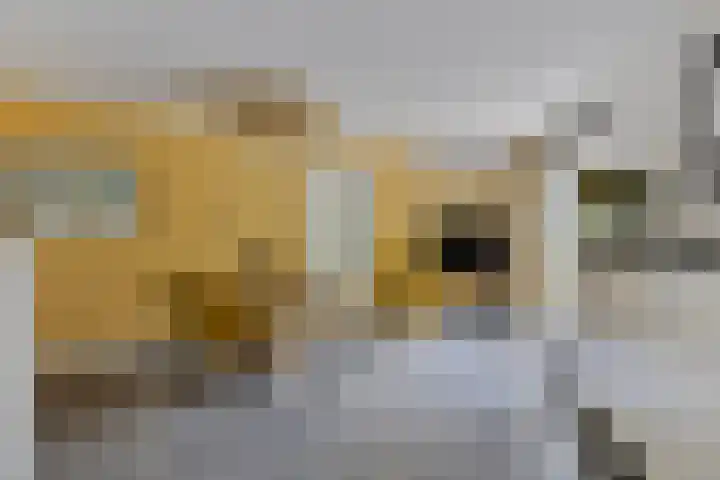 Waterdriebladlaan 77 Enschede thumbnail 12