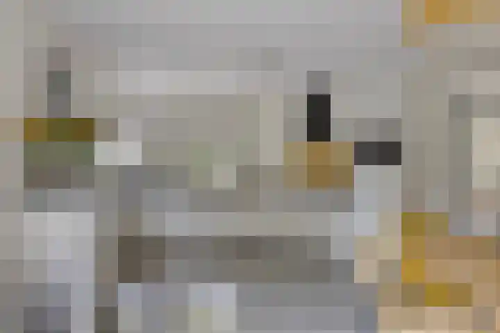 Waterdriebladlaan 77 Enschede thumbnail 13