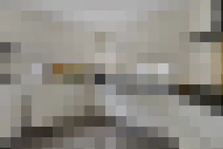Waterdriebladlaan 77 Enschede thumbnail 15