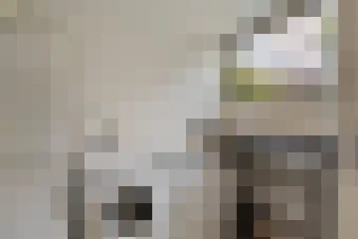 Waterdriebladlaan 77 Enschede thumbnail 17