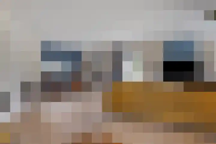 Waterdriebladlaan 77 Enschede thumbnail 21