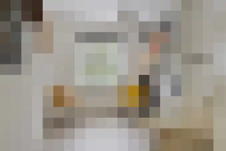 Waterdriebladlaan 77 Enschede thumbnail 36