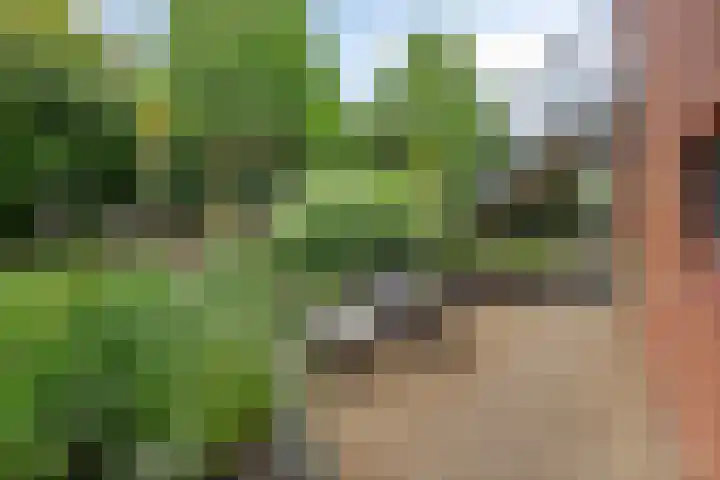 Waterdriebladlaan 77 Enschede thumbnail 38