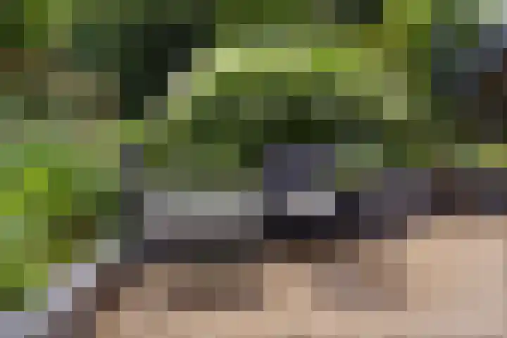 Waterdriebladlaan 77 Enschede thumbnail 39