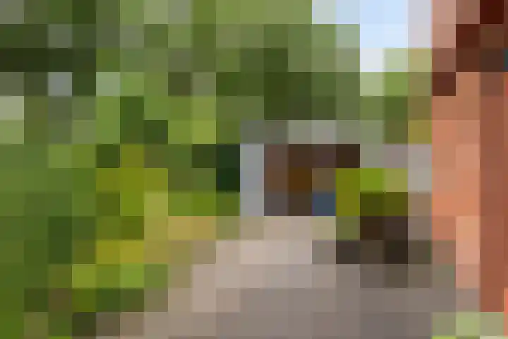 Waterdriebladlaan 77 Enschede thumbnail 41